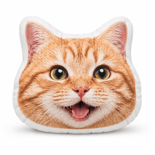 Shaped Hand Warmer Pillow 1